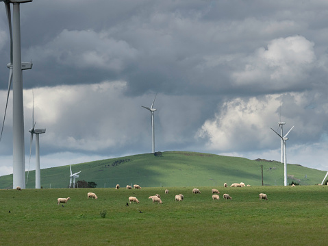 Waubra Wind Farm near Ballarat