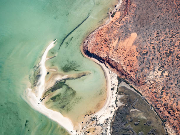 istock Abstract aerial of sand and water patterns 1446344617