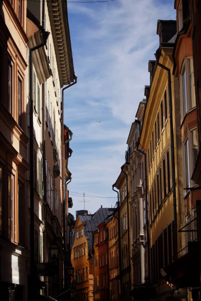 istock Low angle view of buildings in city 1446344977