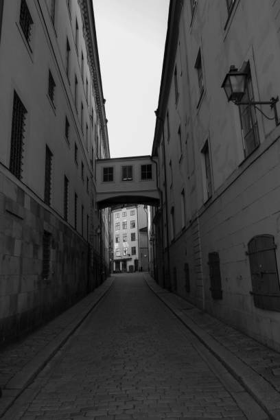 istock Empty alley amidst buildings in city 1446347349