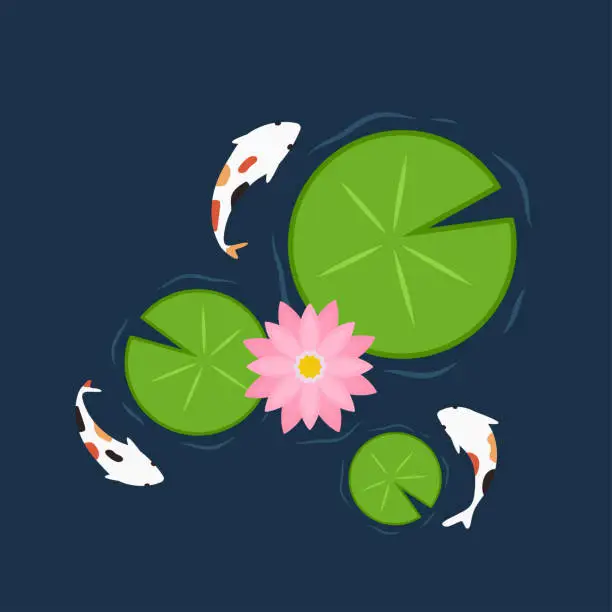 Vector illustration of Lily pad pattern. wallpaper. free space for text. background. poster. lotus flower. Koi fish.