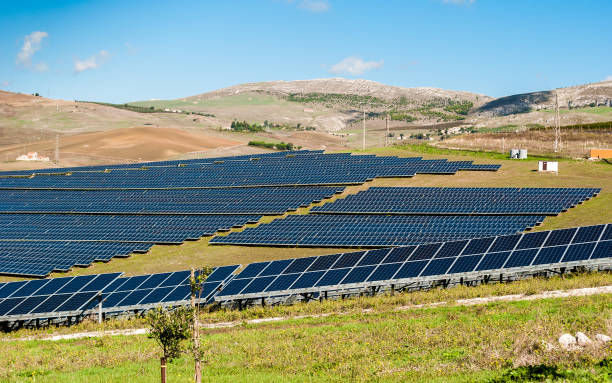 istock Solar field in inner Sicily, near Palermo 1446354735