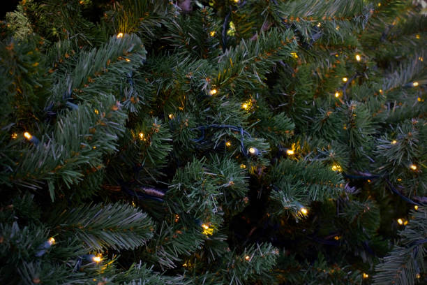 istock holiday lights on christmas tree branches in a dark background pattern close up 1446357396