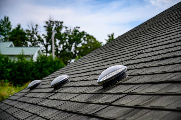 istock Dome shaped solar tube skylight on asphalt shingle roof 1446358329