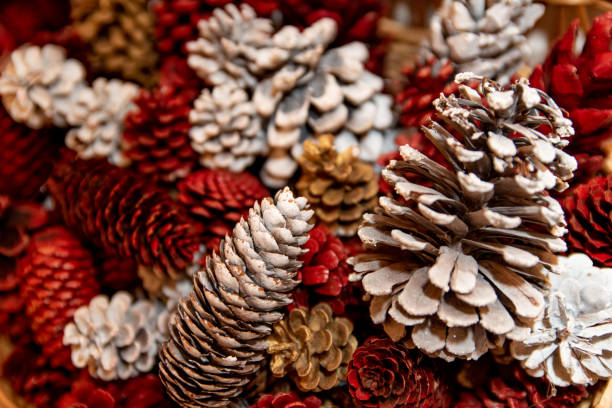 Pine cones as Christmas ornaments