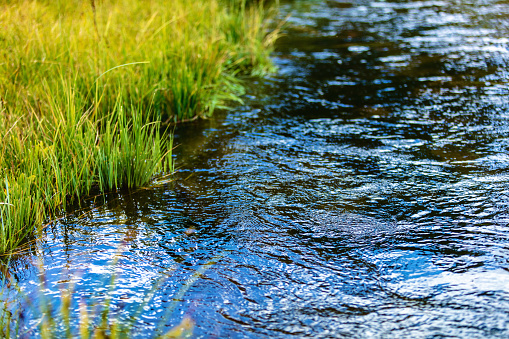Surface View of Flowing Mountain Stream for Fishing and Delivering Water for Agriculture Photo Series