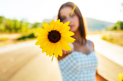 Western USA Attractive Caucasian High School Teen Female Portraits Rural Road Holding Sunflowers in Hand Photo Series