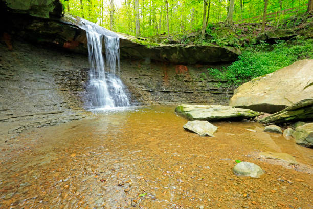 istock Landscape with Blue Hen Falls 1446371283