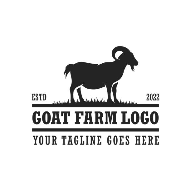 Goat Ranch Logos 4,400+ Goat Logo Stock Illustrations, Royalty-Free Vector Graphics ...