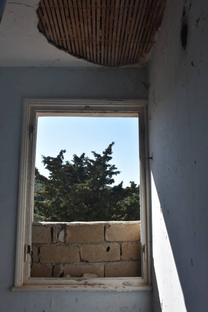 istock View from window overlooking demolished window, bricks and tree in an abandoned house. 1446386999