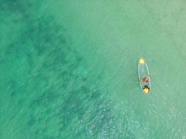 istock Young woman kayaking in Thailand, drone view 1446388190