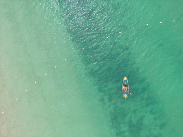 istock Young woman kayaking in Thailand, drone view 1446388192