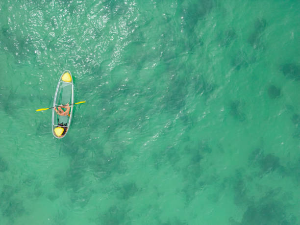 istock Young woman kayaking in Thailand, drone view 1446388203