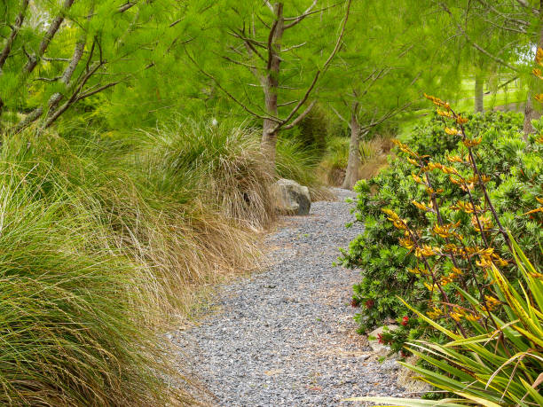 istock Gravel path leading through garden and trees 1446388994