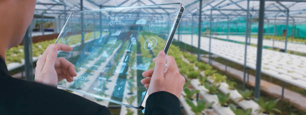 istock Futuristic smart agriculture,businessman using smart tablet,organic vegetable house production control,concept agricultural technology,digital iot farming automation,computer analysis data visual icon 1446390032