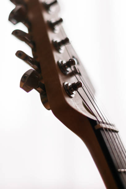 Fine art electric guitar