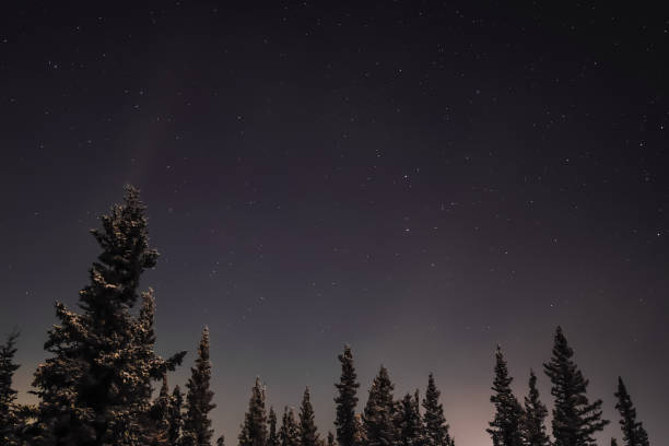istock Aurora Borealis in Interior Alaska 1446391775