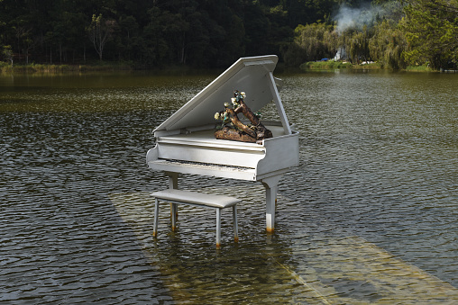 White old rusty piano inside the lake against the pine forest in Da Lat