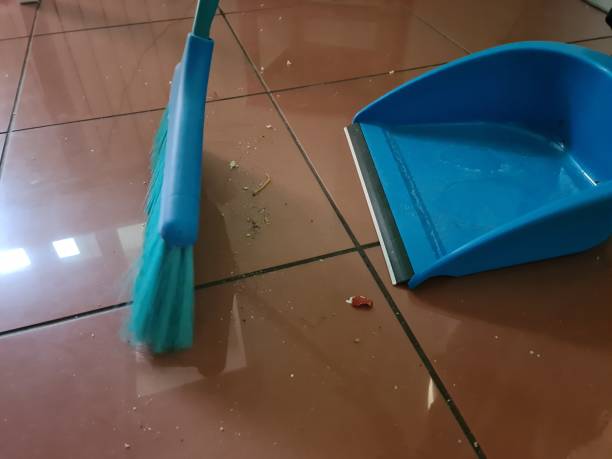 istock Scoop and brush in room on floor 1446394790