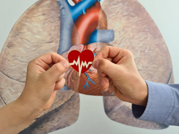 istock Two children hands holding red cardiological heart 1446394957