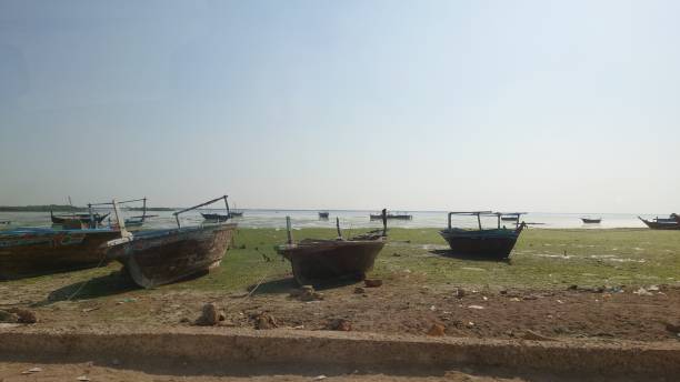 istock Fishing boats 1446396364