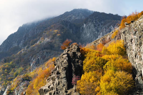 Yellow autumn trees on a mountain slope