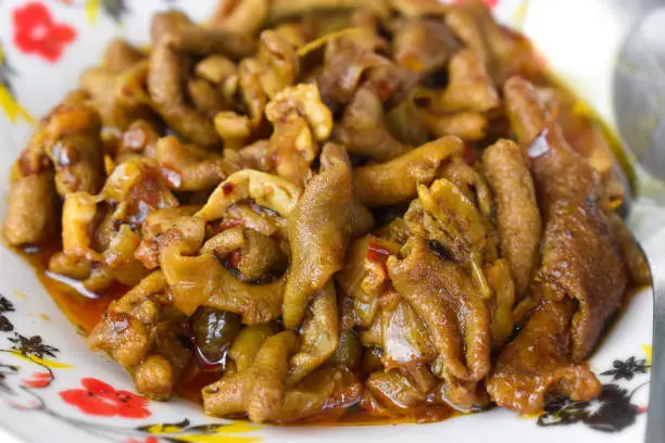 Photo of Myanmar chicken intestine curry. Homemade lunch.