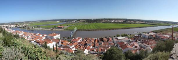 istock Panoramic view of a cityscape with greenery by the river under blue sky 1446405827