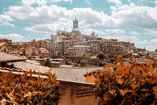 Siena in late autumn panorama