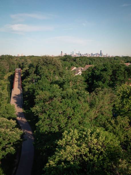 aerial shot of the chicago forest preserve with a bike trail - forest preserve imagens e fotografias de stock