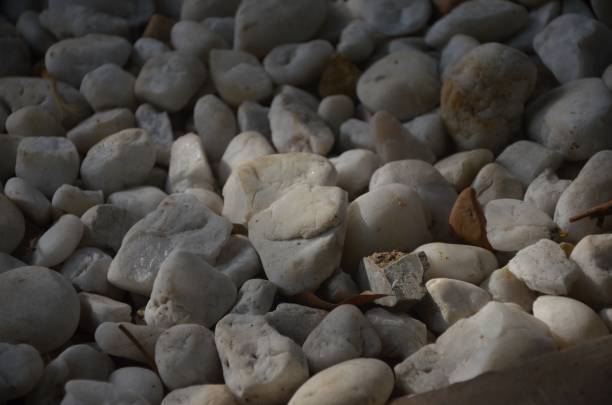 istock Selective focus of underwater white stones and pebbles - for backgrounds 1446409814