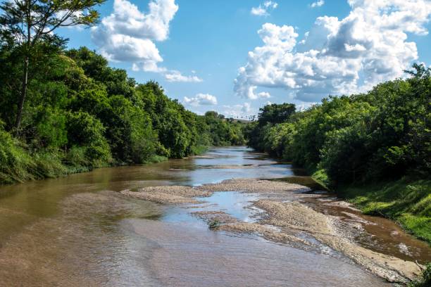 istock Sand banks on a silted riverbed 1446409887