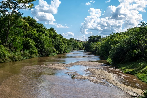 A nice forest landscape of a rocky riverbank on the Haw River with a vanishing point on the horizon.
