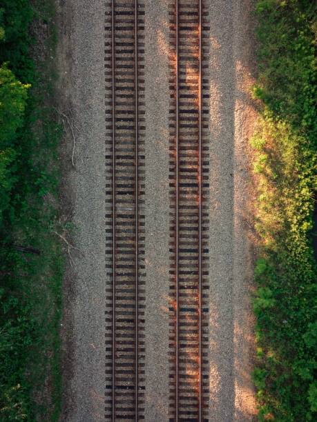 istock Vertical aerial of train tracks going through the woods 1446409916