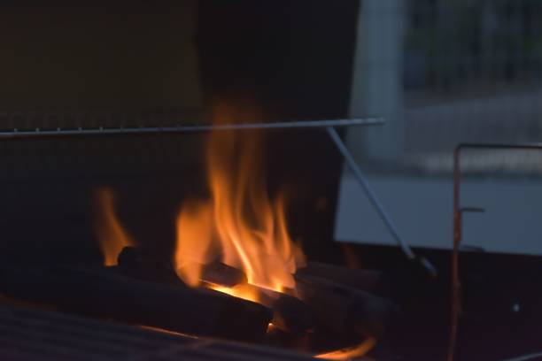 istock Closeup of burning fire 1446410220