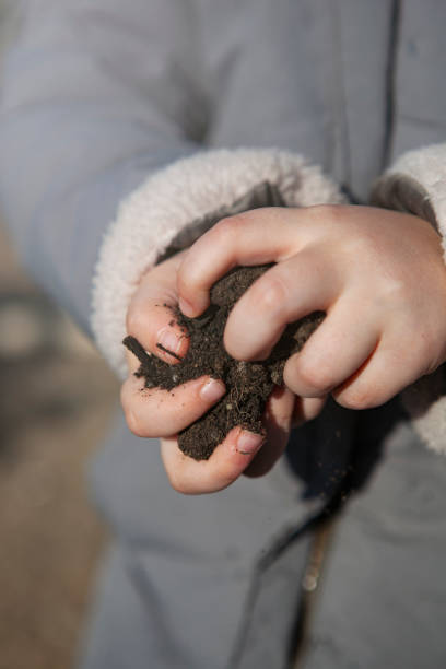 istock Little girl holding soil between her hands. 1446410374