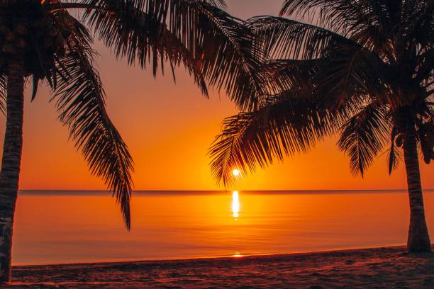 istock Scenic sunset in Southern Belize 1446410390