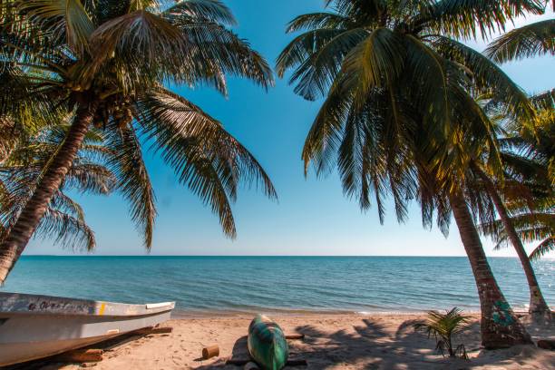 istock Hopkins Village, Stann Creek, Belize 1446410409