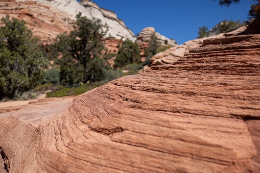 A scenic view of rocky cliffs and trees under the blue sky