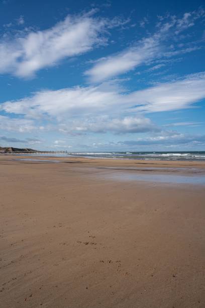istock Sunny day at the beach with a cloudy blue sky 1446411299