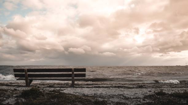 istock Empty wooden bench on the shore against the beautiful cloudscape. 1446411414