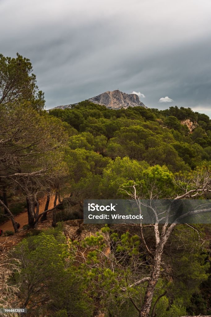 Vertical shot of green trees on the slope of Montagne Sainte-Victoire on a cloudy day. France. A vertical shot of green trees on the slope of Montagne Sainte-Victoire on a cloudy day. France. Adventure Stock Photo