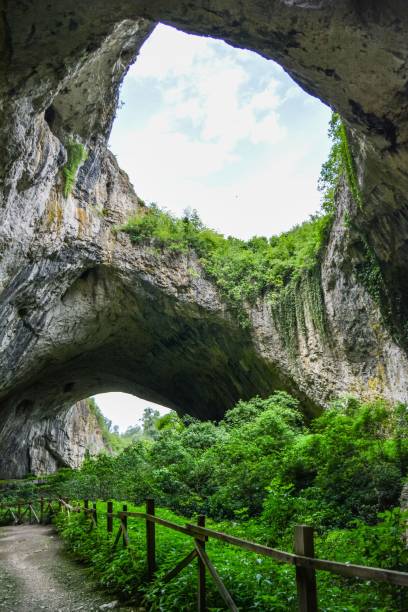 istock Vertical shot of a road under a cave 1446412608