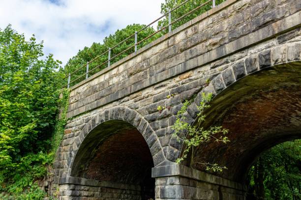 istock Old bridge in the green forest 1446413203