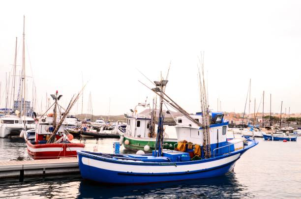 Fishing boats mooring, harbor,  Fisterra fishing village, A Coruña province, Galicia, Spain.