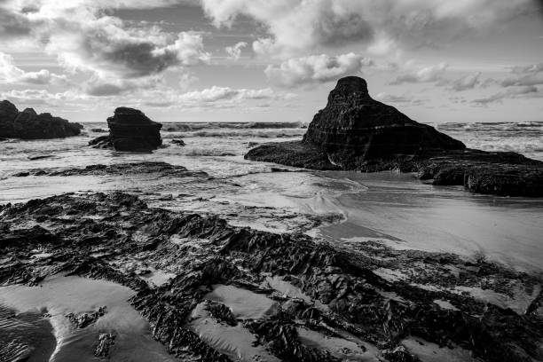 istock Black and white of a rocky beach. 1446414122