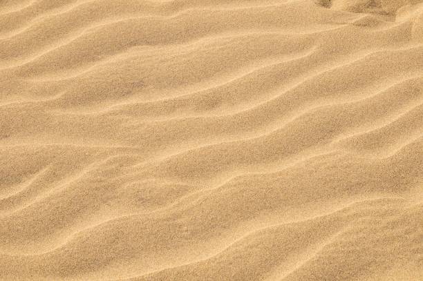 istock Sand Dune Desert Texture , digital , photo, image 1446414196