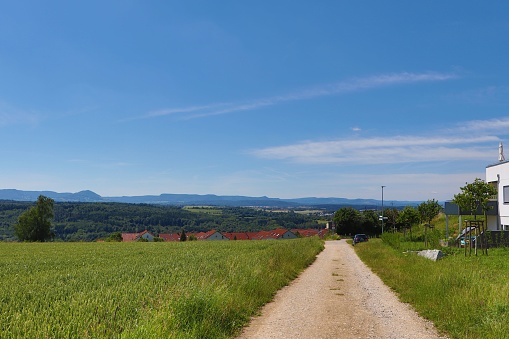 A rural road through the green field against the background of the blue sky.