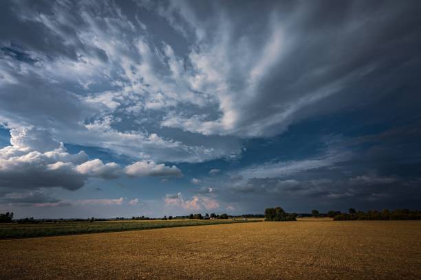 istock Field surrounded by dramatic clouds before the storm with a forest in the background 1446415275