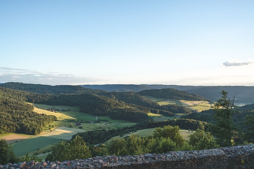 Landscape view of the Black Forest in Germany with green lush trees during the sunset